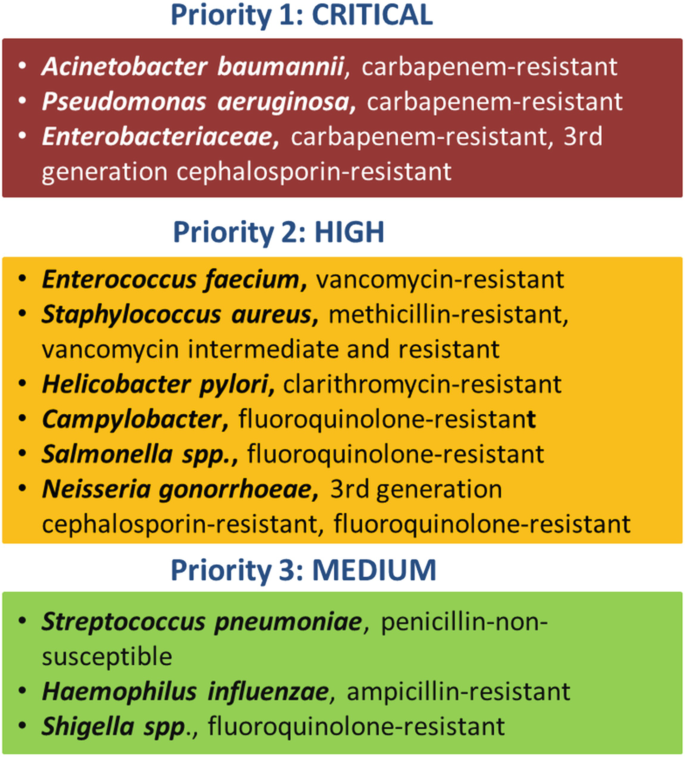 Recent Updates on Bacterial Secondary Metabolites to Overcome Antibiotic  Resistance in Gram-Negative Superbugs: Encouragement or Discontinuation?