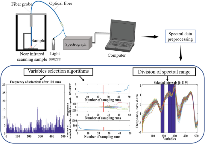 Near-Infrared Spectroscopy Technology in Food