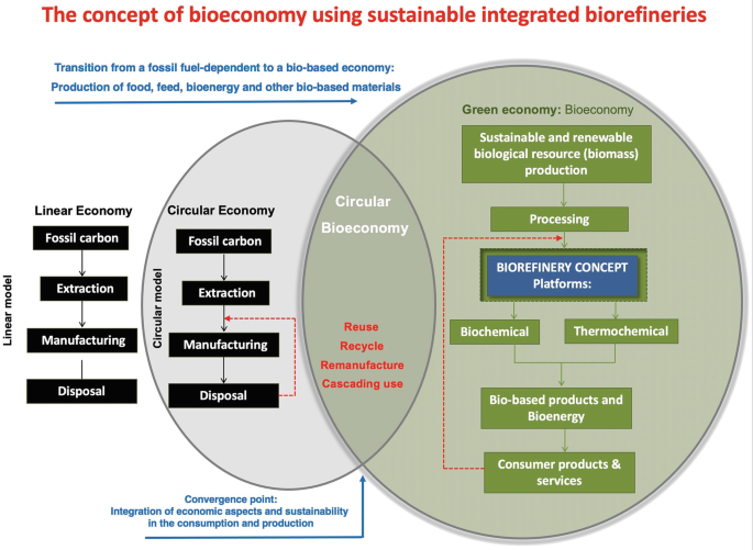 Building a lemon bioeconomy with green technology - Advanced