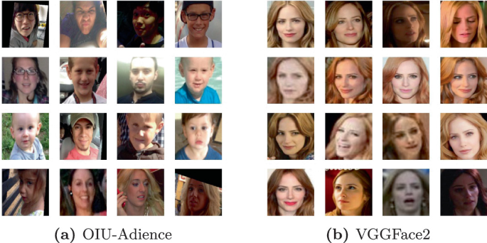 Efficient Classification for Age and Gender of Unconstrained Face Images |  SpringerLink