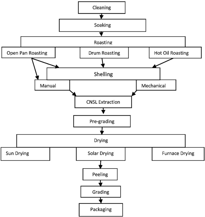 Cashew Nut Shell Liquid: A Promising Green Fuel | SpringerLink