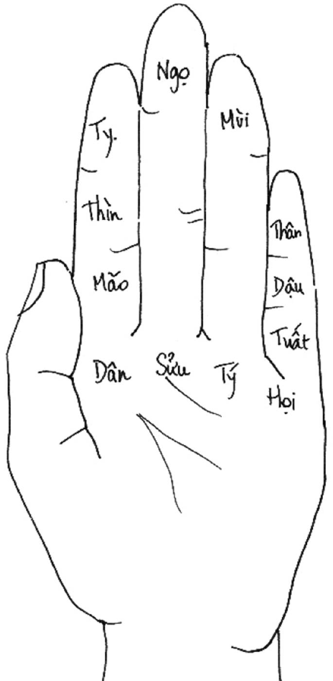 Tử Vi Nhâm Ngọ 2002 Năm 2019: Phân Tích Chi Tiết Vận Mệnh, Tình Duyên và Tài Lộc