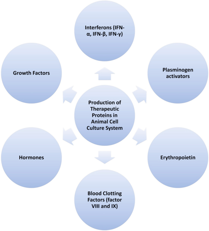 Animal Cell Culture: Basics and Applications | SpringerLink Animal Cell Culture: Basics and Applications | SpringerLink