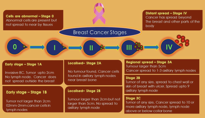Breast Development Stages Chart/Graph - Infographics by