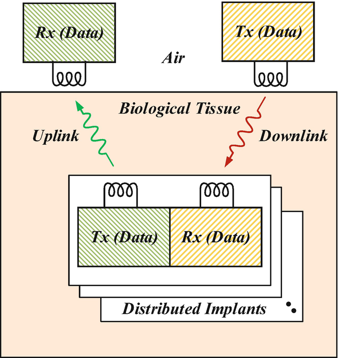 Wireless floating microelectrode array (WFMA) device before