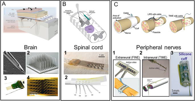 Flexible and Soft Materials and Devices for Neural Interface | SpringerLink
