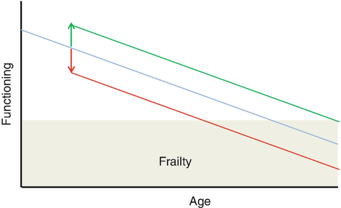 Whole Body Vibration as an Exercise Modality to Prevent Sarcopenia and  Osteoporosis