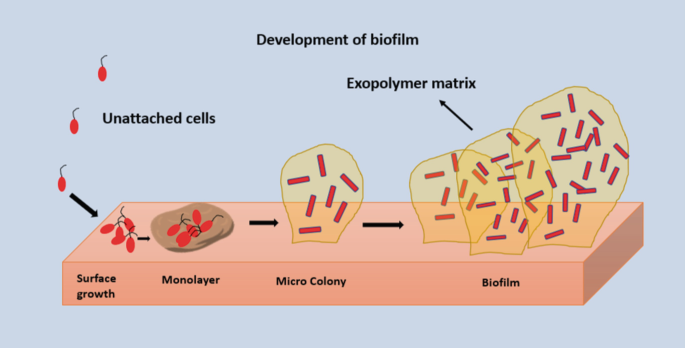 Synergistic Interactions Among Microbial Communities | SpringerLink