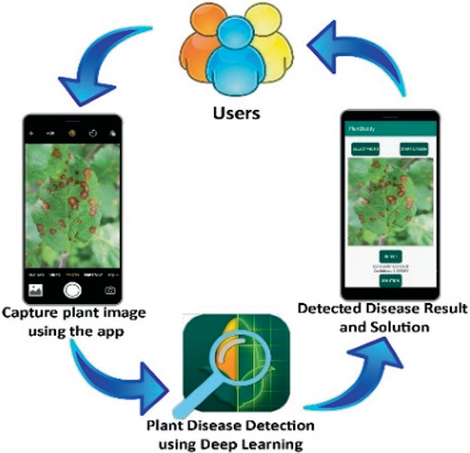 How to Use Mobile Apps for Crop Disease Detection