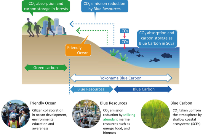 Implementation of Japanese Blue Carbon Offset Crediting Projects