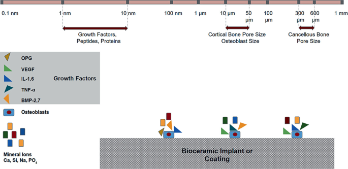 Smart Bioceramics for Orthopedic Applications