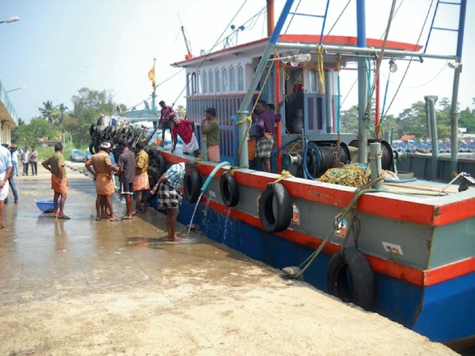 Supply Chain from Fishermen to Wholesaler