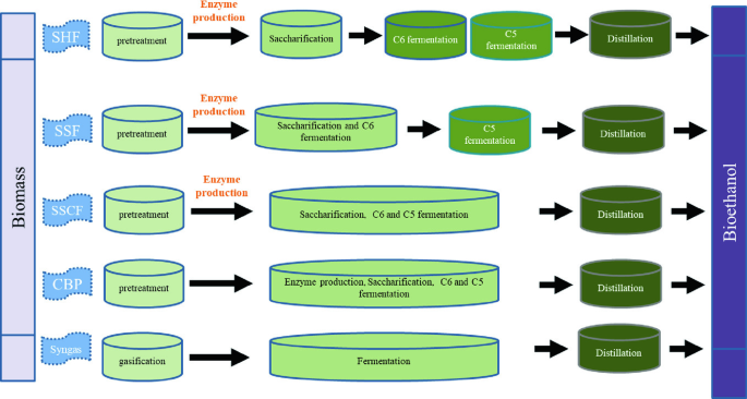 Waste to Wealth: The Importance of Yeasts in Sustainable Bioethanol  Production from Lignocellulosic Biomass | SpringerLink