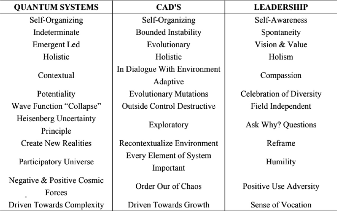 Twelve Principles of Quantum Leadership | SpringerLink