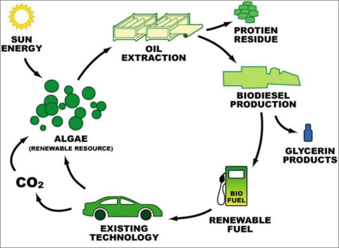 A critical review on second- and third-generation bioethanol