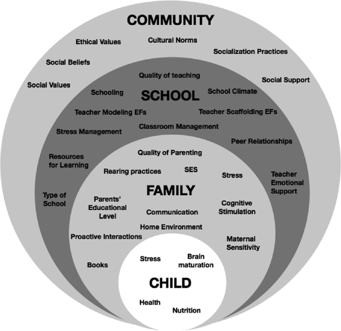 An onion diagram illustrates the development of executive functions. From the inner circle to the outer circle, it has labels for the child, family, school, and community.