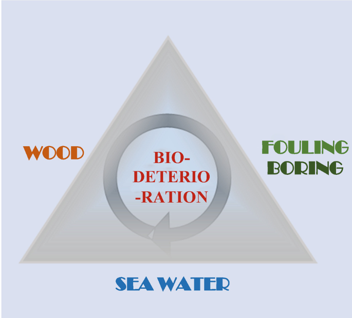 Deep-ocean biodeterioration of materials. Materials; Marine