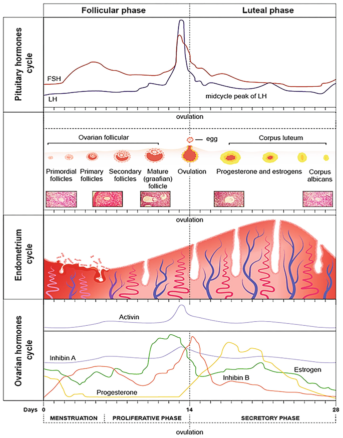 figure 22