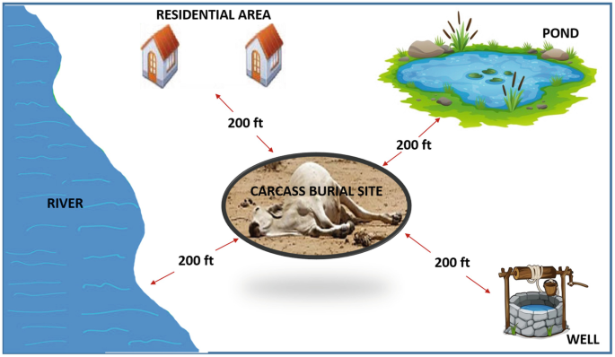 Animal Carcass Management and Disposal During Disasters | SpringerLink Animal Carcass Management and Disposal During Disasters | SpringerLink