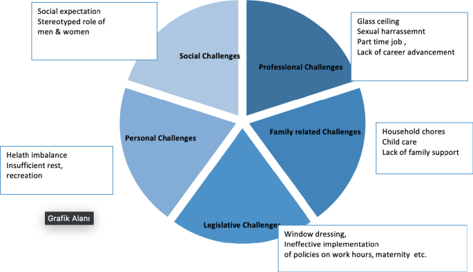 A pie chart of challenges faced by women in I T industry. They are social, professional, family-related, legislative, and personal.