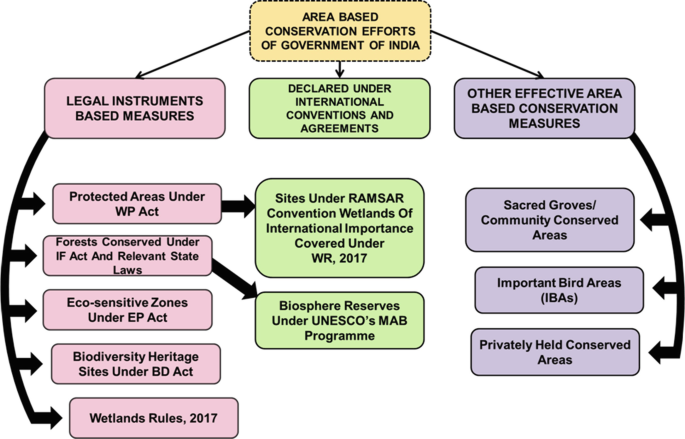 Conservation of National Biodiversity: Efforts of the Indian Government | SpringerLink