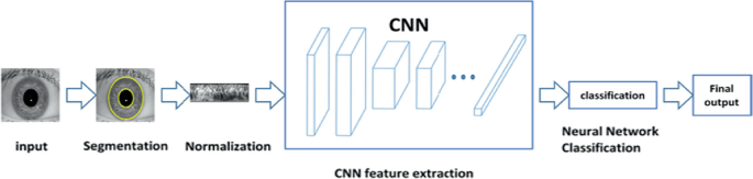 A flow diagram of the process in iris systems. The process is as follows: a human eye is captioned input; the borders of the iris and pupil are highlighted and the image is captioned segmentation followed by normalization; a C N N model for feature extraction followed by neural network classification which gives the final output.