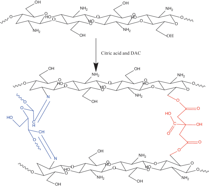 Preparation of Hydrogel-Based Chitosan Using Citric Acid as Cross ...