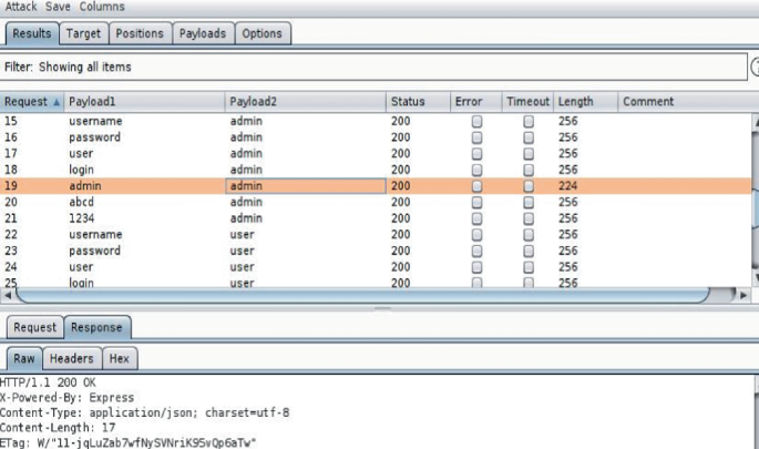 Split XSS - DigiNinja