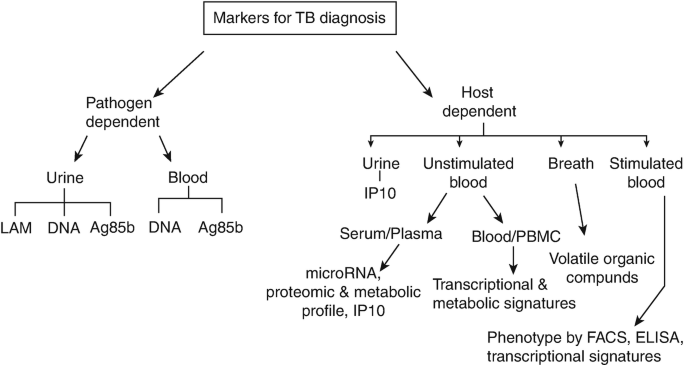 figure 25