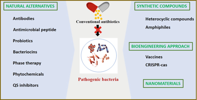 Quest for Alternatives to Antibiotics: An Urgent Need of the Twenty-First Century | SpringerLink