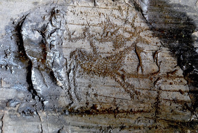 A photograph of a magnified view of a wet rock surface. It has a carving of a human armed with a sword riding on a reindeer-like animal. The animal has long and branched horns on its head.