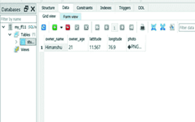 A screenshot of computer screen of databases. It has 6 sub-headers. Structure, data divided into grid view, and form view, contracts, indoors, triggers, and D O L.