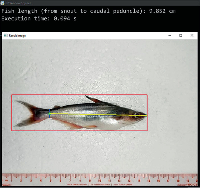 A Portable System for Automated Measurement of Striped Catfish