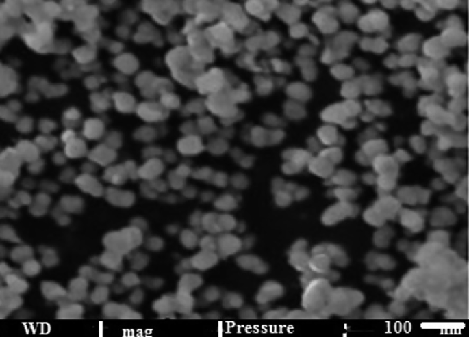 A microscopic image of n s, T i O, subscript 2 negative C u O. The very pore structure of the resultant nanoparticles with grain sizes of 20 to 35 nanometer is exhibited.