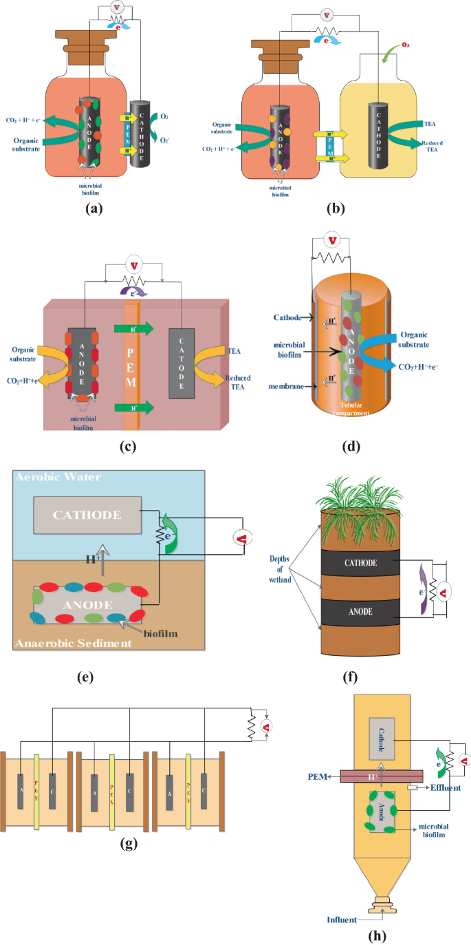 It depicts the various designs of MFC a. SCFMC b. H-shaped DCFMC c. Cubical DCMF d. Tubular MFC e. SMFC f. CW-MFC g. Stacked MFC h. Upflow MFC The most common MFC configurations are single and dual Chambers MFCs.