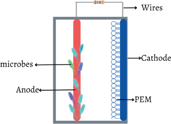 A diagram of the MFC Chamber. The chamber includes wires at the top, an anode with microbes, P E M, and a cathode on the right.