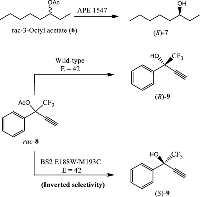 Dual-function enzyme catalysis for enantioselective carbon–nitrogen bond  formation