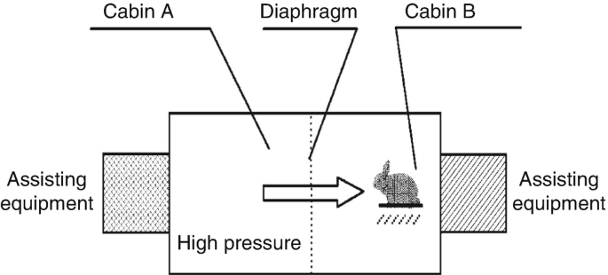 An illustration of a simulation cabin. A box has assisting equipment attached on the left and right sides. The vertical line in the center of the box is the diaphragm. The left of the diaphragm is labeled cabin A and the right is labeled cabin B. Cabin A has high pressure. There is a rabbit in cabin B. A right arrow is on the diaphragm.