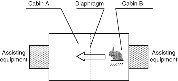 An illustration of a simulation cabin. A box has assisting equipment attached on the left and right sides. The vertical line in the center of the box is the diaphragm. The left of the diaphragm is labeled cabin A and the right is labeled cabin B. There is a rabbit in cabin B. A left arrow is on the diaphragm.