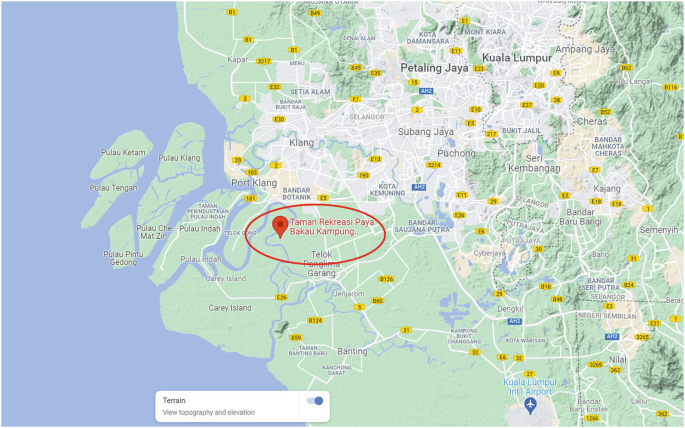 A map of Malaysia. Taman Rekreasi Paya Bakau Kampung is encircled and marked by a geo-location icon towards the bottom coast. Petaling Jaya is written near the top center and Kuala Lumpur is towards the top right. At the bottom, a swipe button next to the terrain, view topography and elevation is turned on.