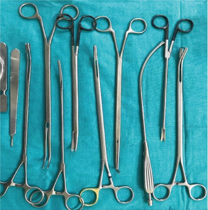 A photograph of a set of thin shafts and curved shape instruments. This includes DeBakey forceps, small and large dissectors, scissors, and suction.