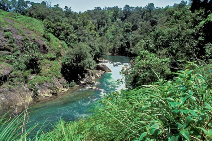 A photograph of the Kunthipuzha river in the silent valley, with large areas of tropical rainforest existing around it.