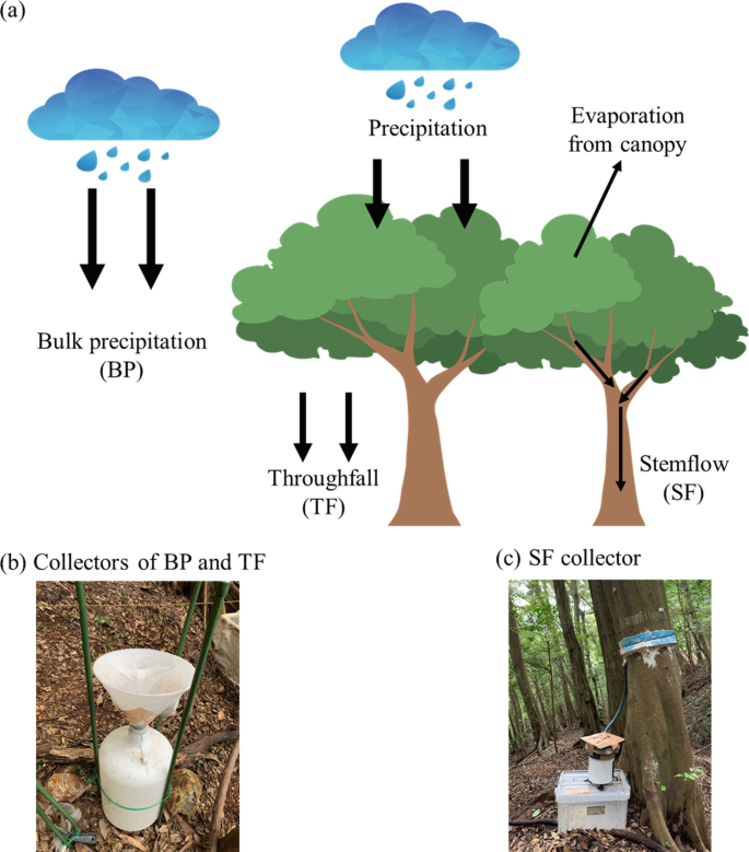 PDF) The effects of partial throughfall exclusion on canopy processes,  aboveground production, and biogeochemistry of an  forest