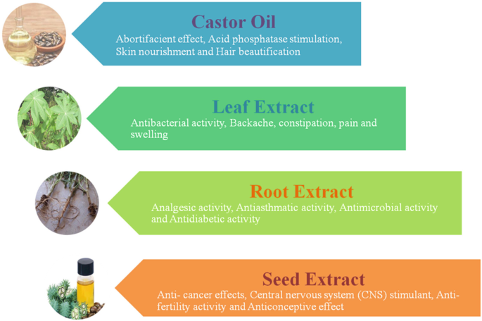 drinking castor oil benefits