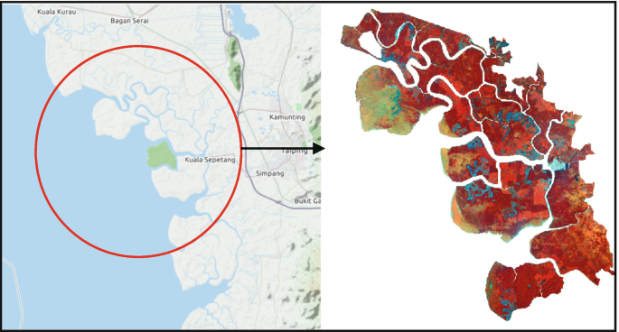 A map of Malaysia exhibits the location of Kuala Sepetang, near the coastal land (on the left). The parts of Kuala Sepetang mangrove forest is exposed (on the right).