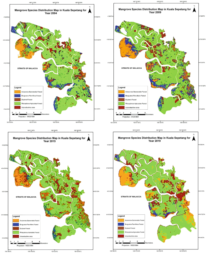 Four graphs depict the mangrove species distributions (Avicennia - sonneratia, Bruguiera parviflora, dryland, Rhizophora, and unproductive forests) in Kuala Sepetang for years 2004, 2009, 2015, and 2019.