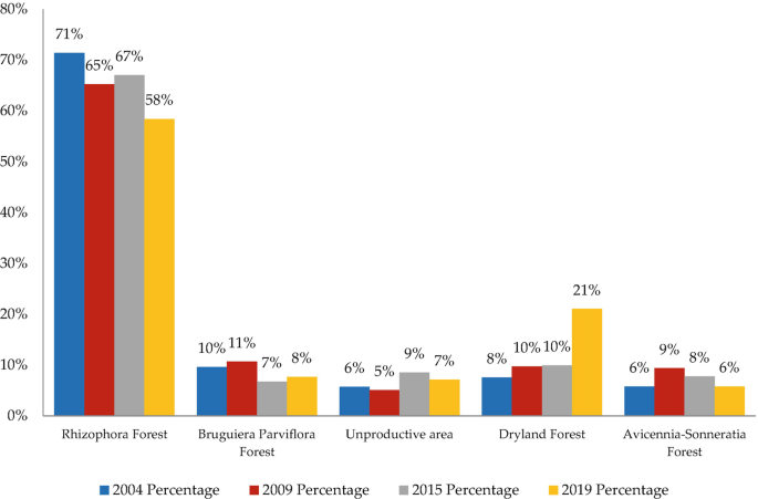 A grouped bar graph exhibits the percentages of Rhizophora, Bruguiera parviflora, unproductive, dryland, and Avicennia - sonneratia forests in 2004, 2009, 2015, and 2019.