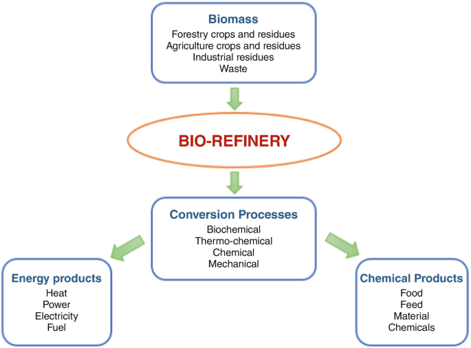 Critical Evaluation of the Role of Enzymes in the Integrated Biorefinery