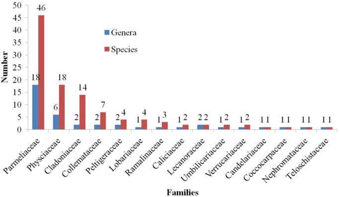 A double bar graph illustrates the distribution of 15 macro lichen species within genera and families. The bars for Parmeliaceae are the highest with 46 species and 18 genera.