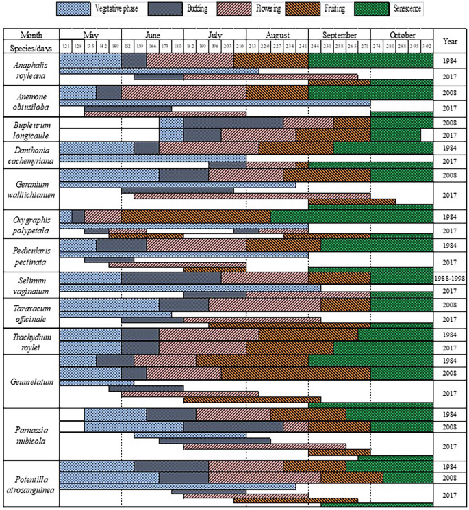 A table illustrates months and species slash days on the left and years on the right side. It includes the vegetative phase, budding, flowering, fruiting, and senescence from May to October in 1984, 1989 to 1998, 2008, and 2017.